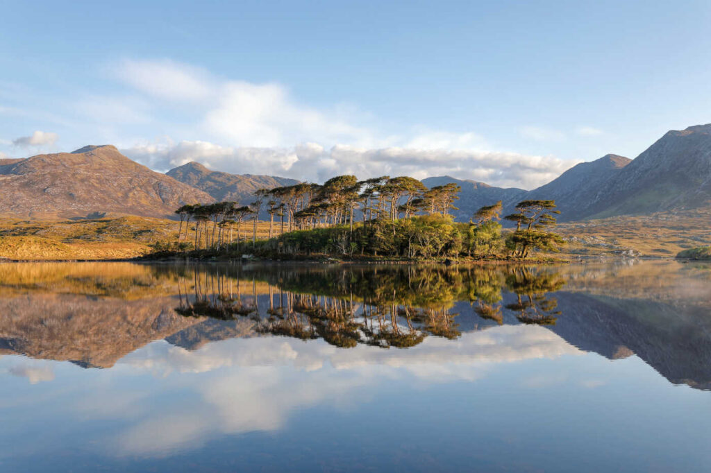 connemara-tree-lake-1400_optimized
