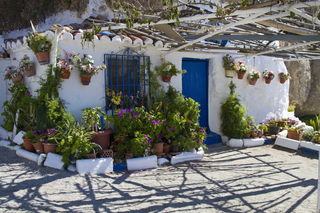 ein-nerja–(16)_optimized